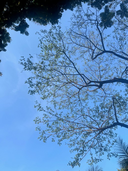 memories.huuphong.com image