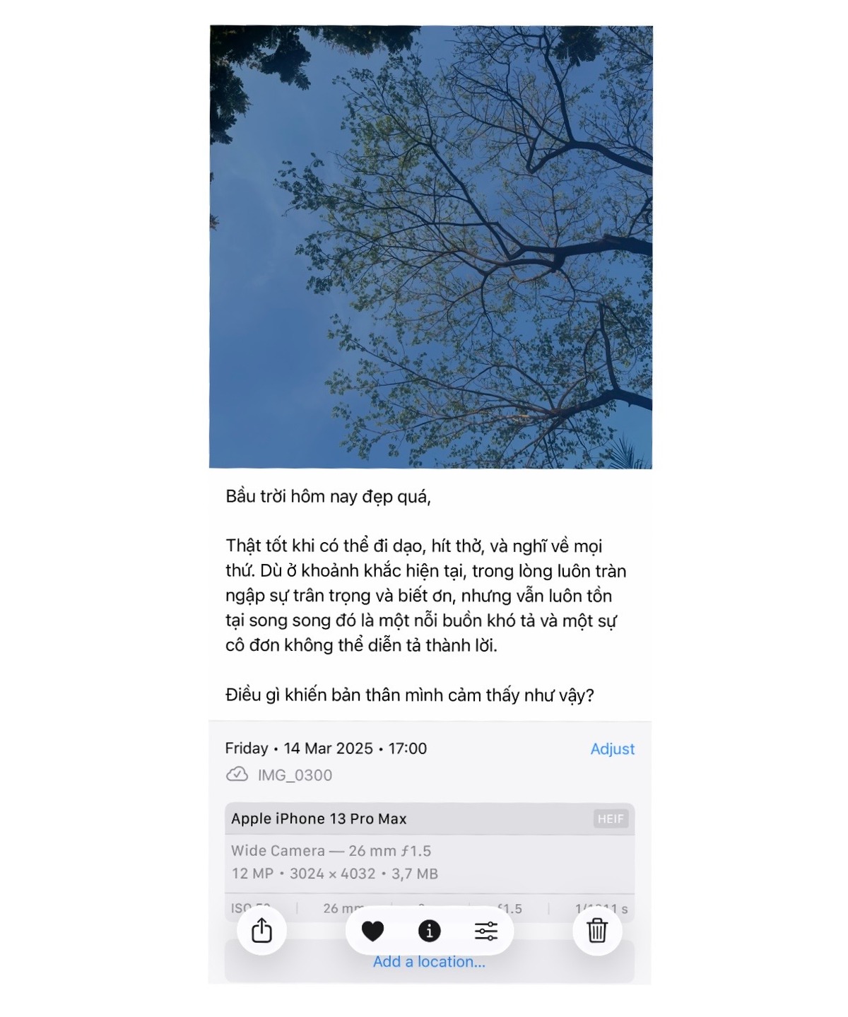 Screenshot of a photo with caption